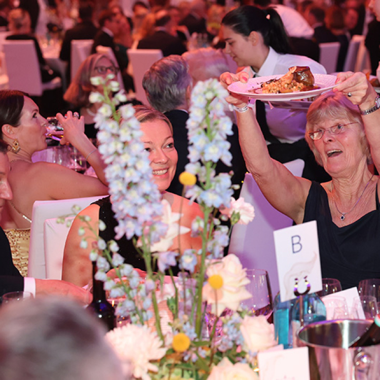 Sportpresseball 25