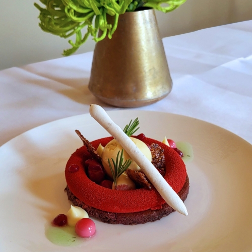 DSPB_2023_Probe-Dinner_03