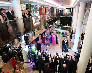 Sportpresseball