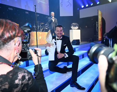 Sportpresseball