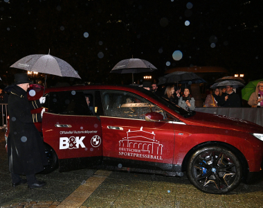 Sportpresseball